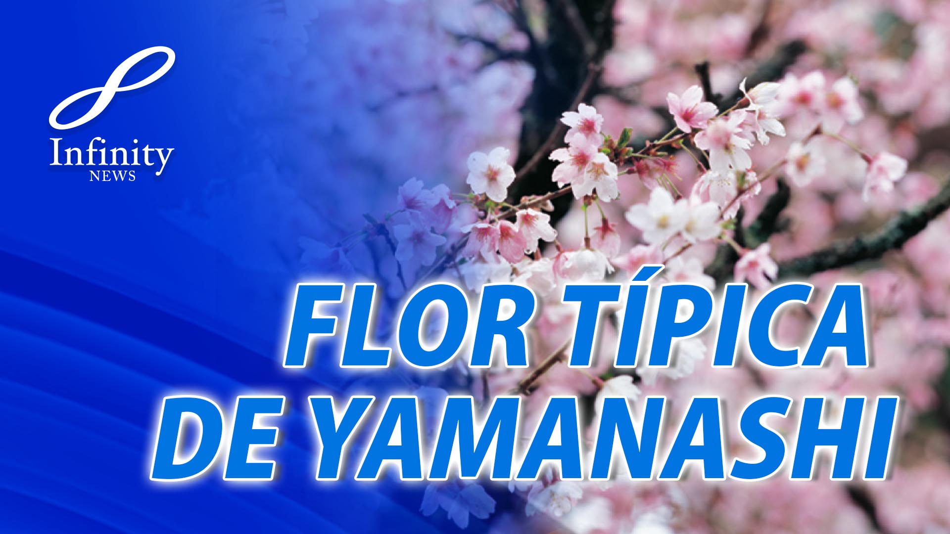 Flor típica de Yamanashi