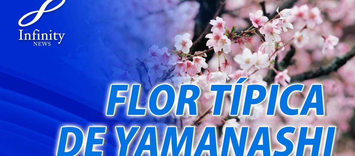 flor tipica de yamanashi