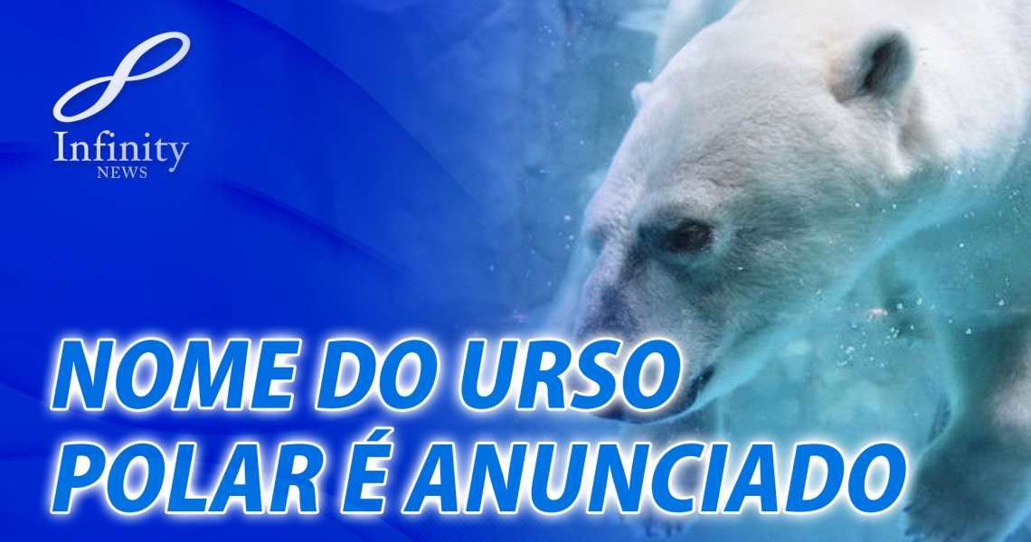 urso